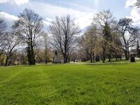 Slow-Stroke Onlyfans pictures