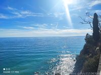 Anna Barbie Onlyfans pictures